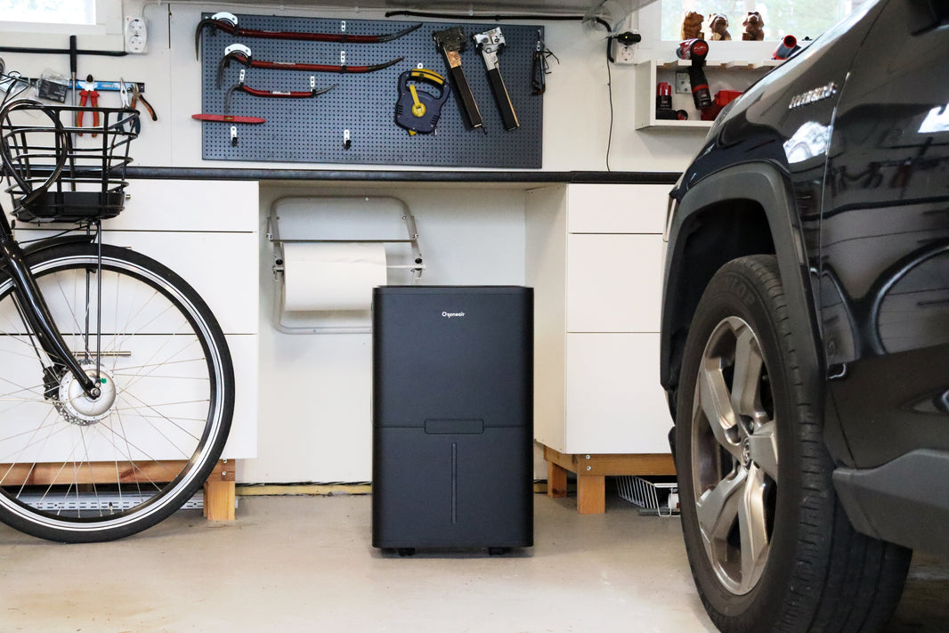 Det här kan hända med bilen i garaget när luftfuktigheten är för hög