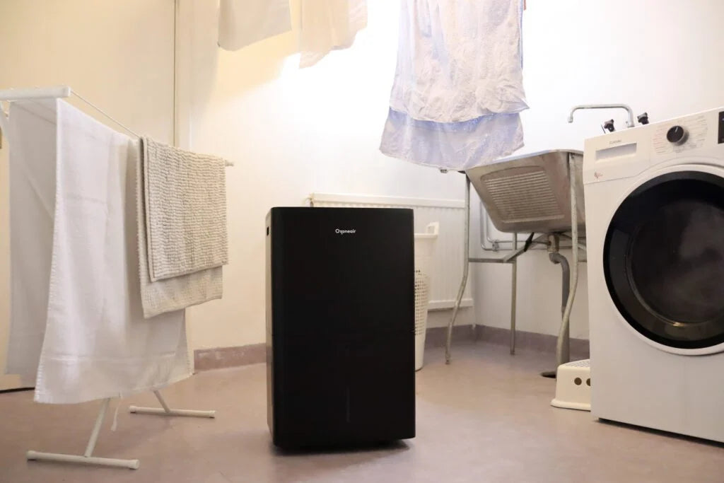 Kondensavfuktare vs sorptionsavfuktare – Vad är skillnaden?