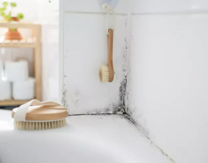 Naturliga metoder för att bekämpa mögel: ättika och bikarbonat
