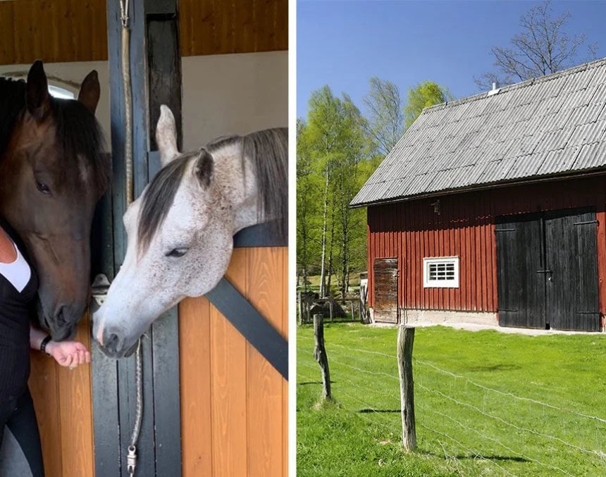 Ny metod tar bort dåliga lukter: ”Äntligen luktar det fräscht i stallet”