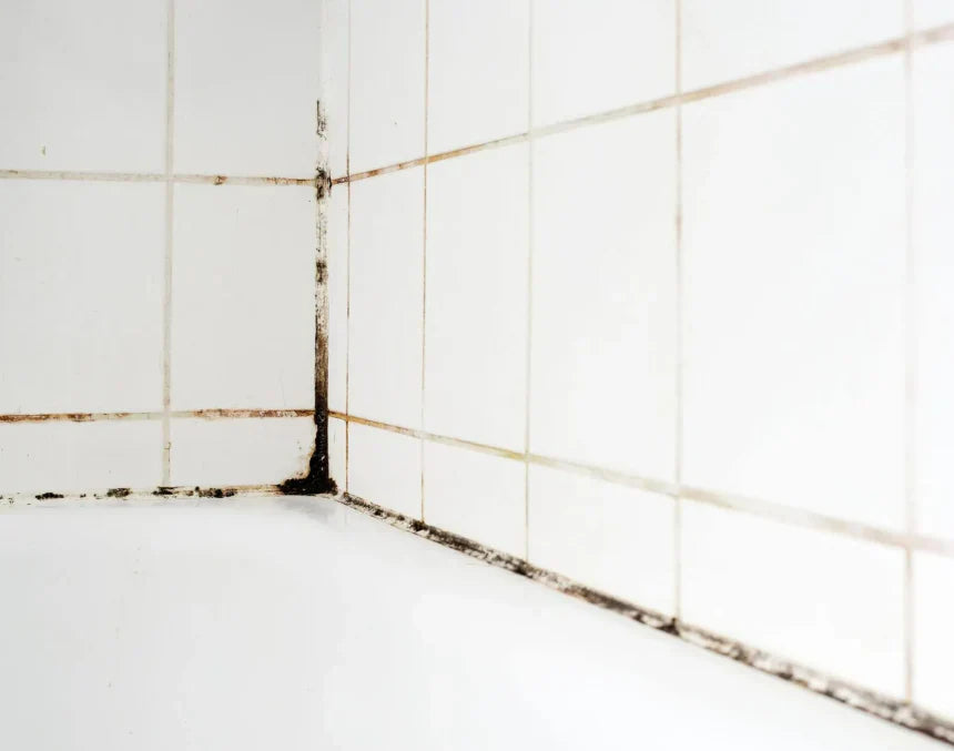 Svartmögel i badrum: Allt du behöver veta om orsaker, konsekvenser och lösningar